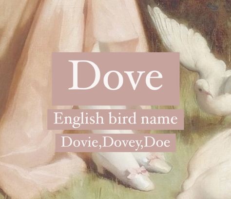 Baby girl name Dove. Princess and bird and nature names. Sweet Nicknames, Dove Name, Bird Names, Bird Nicknames, Dove Spiritual Meaning, Dove Bird Aesthetic, Korean Boy Names, Pet Dove Aesthetic, Uncommon Baby Names