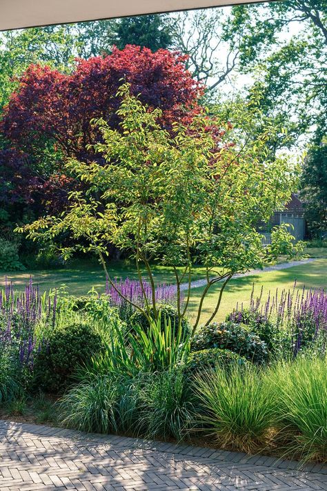 SUSSEX GARDEN | Pollyanna Wilkinson Garden Design Small Garden Plans, Boxwood Garden, Front Garden Landscape, Grasses Landscaping, Garden Design Plans, Forest Garden, Garden Studio, Garden Landscape Design, Small Garden Design