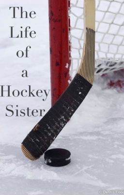 Angie has two brothers who play hockey. Being raised on the sport it's no shock that she loves it! Is she finally ready... Hockey Manager, Hockey Sister, Hockey Cakes, Quotes Girlfriend, Hockey Rules, Nhl Teams, Hockey Quotes, Hockey Stuff, Detroit Red Wings Hockey