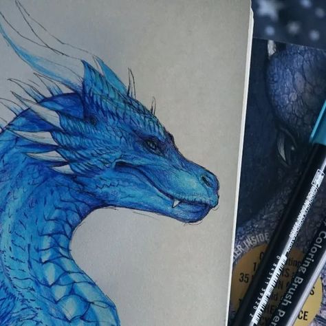 Karolina on Instagram: "So I've been catching up on the lost middleschool experience and re/reading #inheritancecycle. I'm scribbling the poster children as I go, here's the first! The big blue sister :D I will post more of these later as I read along. I'm currently towards the end of #Brisingr.  #inheritancecycle #inheritancecyclefanart #inheritancecycleseries #theinheritancecycle #theinheritancecycleseries #theinheritancecyclefanart #eragon #eragonseries #eragonfanart #brisingr #eldest #christopherpaolini #christopherpaolinibooks #saphira #dragoness #dragon #sketchbook #dragonart #traditionalart #drawing #fantasy #artistoninstagram" Brom Eragon, Eragon Fan Art Saphira, Saphira Dragon, Ra'zac Eragon, Eragon Fan Art, Eragon Books Series, Eragon Saphira, Viserion Dragon Art, Christopher Paolini