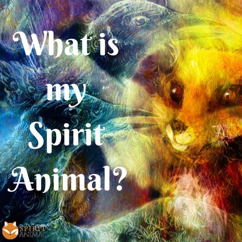 Take the spirit animal quiz to find out your spirit animal! How To Find Your Spirit Animal, Spiritual Animal Meanings, Finding Your Spirit Animal, Spirit Animal Test, What Is My Spirit Animal, Nature Witchcraft, Find My Spirit Animal, What Animal Am I Quiz, Spirit Animal Tattoo