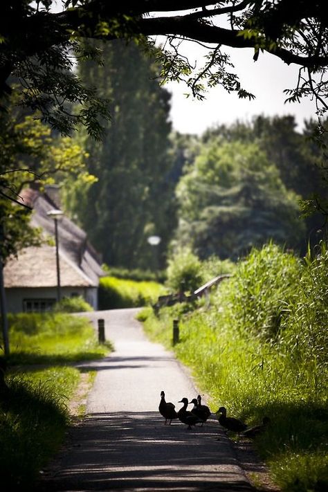 Gooseberry Fool, Dutch Countryside, Dutch Farms, Countryside Village, Best Of Ireland, Rural Living, Country Walk, English Village, Quaint Village