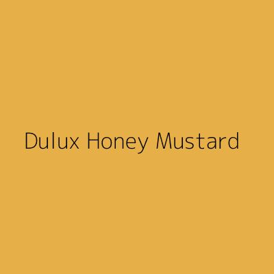 Mustard Hallway, Mustard Paint Color Walls, Mustard Kitchen Walls, Dulux Honey Mustard, Deep Mustard Paint Color, Ochre Kitchen, Ochre Wall Paint, Dulux Yellow Paint Colours, Mustard Yellow Paint Colors