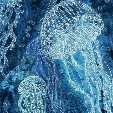 ... Deep Sea Jellyfish, Sea Jellyfish, Jellyfish Illustration, Jellyfish Photography, Jellyfish Painting, Jellyfish Drawing, Jellyfish Craft, Jellyfish Print, Jellyfish Art