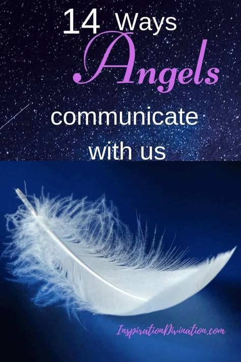 Spiritual Guidance Signs, Angels Protection, Angels Images, Angels Quotes, Spirit Guides Meditation, Angel Communication, Heavenly Angels, Angel Signs, Angel Guide