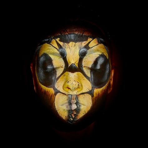 wasp face-paint Bee Face Paint, Bee Face, James And Giant Peach, Bee Makeup, Make Carnaval, Paint Pictures, Animal Makeup, Bee Costume, Face Paint Makeup