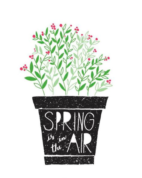 9 Spring Printables to Spruce Up Your Gallery Wall | Brit + Co Vasos Vintage, Air Art, Spring Quotes, Spring Printables, Spring Is In The Air, Spring Art, Spring Is Coming, Happy Spring, Spring Has Sprung