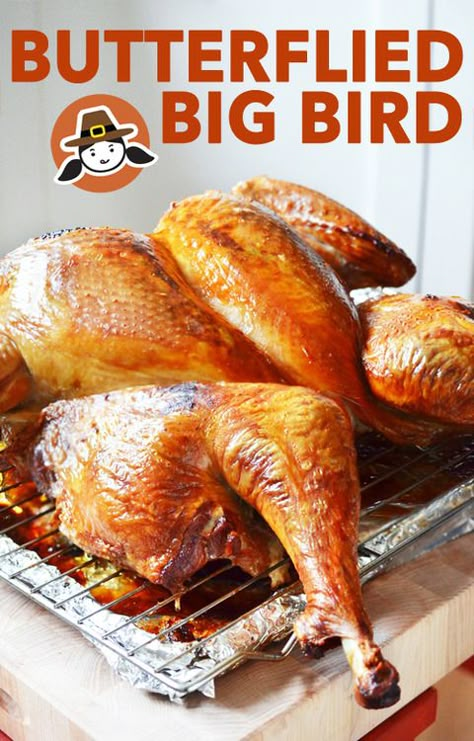 Butterflied Big Bird (Thanksgiving Turkey!) by Michelle Tam http://nomnompaleo.com Paleo Holiday Recipes, Spatchcock Turkey, Paleo Thanksgiving Recipes, Paleo Thanksgiving, Nom Nom Paleo, Recipes For Thanksgiving, Turkey Recipes Thanksgiving, Healthy Thanksgiving, Primal Recipes