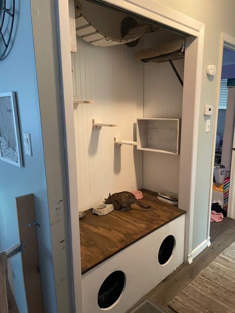 Closet converted to cat condo Cat Closet Diy, Cat Room In Closet, Closet Cat Room, Cat Closet Ideas, Cat Box Hide, Diy Cat Furniture, Cat Closet, Spoiled Pets, Cat Patio