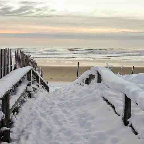 Picturesque winter in Ogunquit, Maine Maine Aesthetic Winter, Winter In Maine, Beach During Winter, Winter Ocean, Snowy Beach, Beach In The Winter, Coastal Winter, Beach In Winter, Snow On The Beach