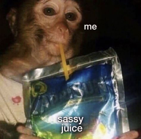 it do be me tho Monkey Drinking Caprisun, Response Memes, A Monkey, Anime Meme, Cute Memes, Meme Faces, What’s Going On, 귀여운 동물, Animal Memes