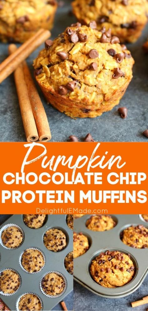 Pumpkin Chocolate Chip Protein Muffins | The perfect recipe for healthy pumpkin muffins that happens to taste amazing! These delicious Pumpkin Protein Muffins are made with no oil, and no flour, and are loaded with protein and fiber! These Pumpkin Chocolate Chip Protein Muffins will be your new go-to healthy snack or will be a quick breakfast or healthy snack. || Delightful E Made Chocolate Chip Protein Muffins, Pumpkin Protein Muffins, Protein Muffin Recipes, Macro Recipes, Pumpkin Protein, Protein Baking, Pumpkin Chocolate Chip Muffins, Pumpkin Chocolate Chip, Protein Muffins