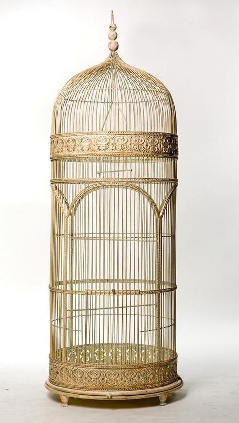 Vintage Birdcage, Golden Cage, Old Bird Cage, Goth Cottage, Aesthetic Bird Cage, Gold Bird Cage, Open Living Room Design, Antique Bird Cages, The Caged Bird Sings