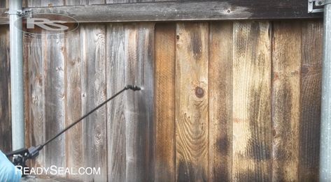 Old Wood Fence Ideas, Fence Restoration, Old Wood Fence, Painted Wood Fence, Staining Wood Fence, Fence Staining, Old Fence Wood, Old Wooden Fence, Fence Paint Colours