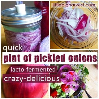 little*big*harvest: Top Ten Recipes Lactofermentation Recipes, Fermented Red Onions, Food Fermentation, Canning Pickles Recipe, Good For Gut Health, Lacto Fermentation, Diet Plate, Lacto Fermented, Fermented Veggies