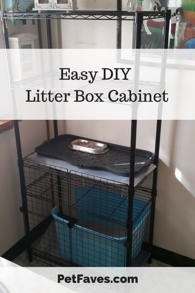 Diy Dog Proof Litter Box Ideas, Storage Bin Litter Box Diy, Keeping Dog Out Of Cat Litter, Litter Box Shelf, Cat Litter Box Privacy Screen Diy, Elevated Litter Box Ideas, Cat Litter Bucket Repurpose, Cat Litter Tracking Solutions, Garage Cat Litter Box Ideas