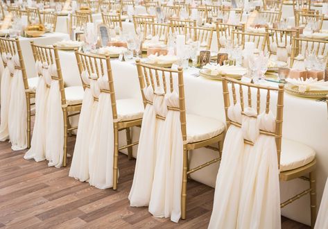 Chiavari Chairs Wedding, Chiavari Chairs Decor, Wedding Reception Chairs, Chairs Wedding, Gold Chiavari Chairs, Tiffany Chair, Wedding Rentals Decor, Wedding Chair Decorations, Tiffany Wedding