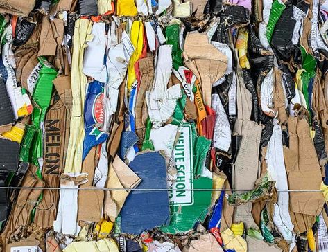 Is Paper Biodegradable? All About Paper Waste Hobbies To Pick Up, Biodegradable Waste, Newsprint Paper, Paper Grocery Bags, Hobbies For Adults, Digital Portrait Art, Biodegradable Plastic, Earthship, Recycled Items