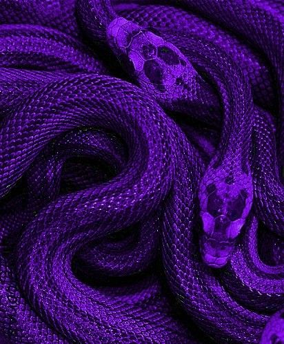 Foto Muro Collage, Purple Aesthetic Background, Dark Purple Wallpaper, Purple Snake, Violet Aesthetic, Purple Wall Art, Purple Vibe, Fotografi Digital, Lavender Aesthetic