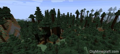 Aesthetic Minecraft Seeds, Taiga Biome, Minecraft Biome, Minecraft Id, Spruce Forest, Aesthetic Minecraft, Minecraft Seeds, Animals And Plants, Boreal Forest