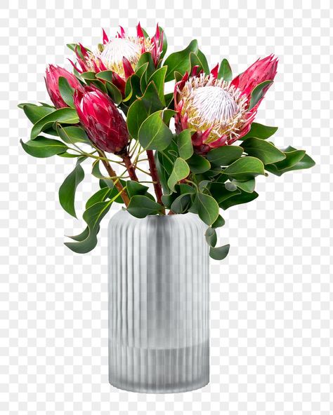 Object Collage, Png King, Vase Png, Flower In Vase, Protea Flower, Element Design, Flower Vases, Flower Pots, Glass Vase