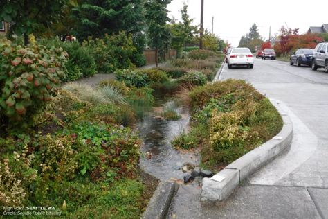 Why Sustainable Stormwater Management Matters | National Association of City Transportation Officials Urban Sustainability, Water From Air, Rain Gardens, Storm Water, Rainwater Harvesting System, Stormwater Management, Pub Set, Areas Verdes, Rainwater Harvesting