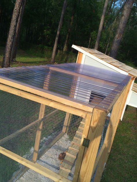 ColoradoChicky Aug 27, 2014 Very nice! Love the colors Reactions: PioneerChicks Chicken Coop With Run, Herb Planter Box, Build A Chicken Coop, Cedar Shingle Siding, Plastic Roofing, Easy Chicken Coop, Chicken Poop, Diy Chicken Coop Plans, Chicken Coop Run