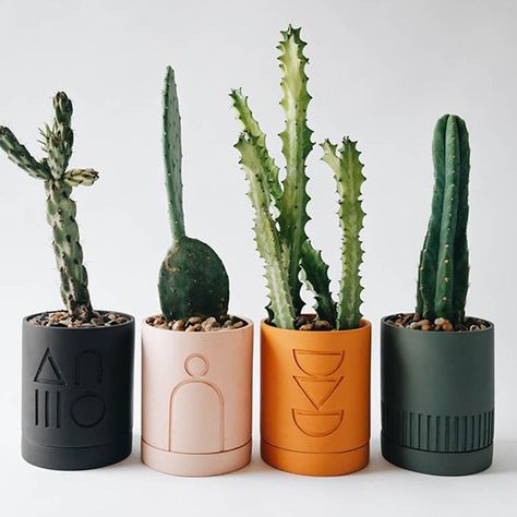 Kaktus Dan Sukulen, Plant Pot Design, Desain Pantry, نباتات منزلية, Painted Pots Diy, Fleurs Diy, Tanah Liat, Keramik Design, Diy Pots