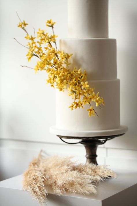 Sugar forsythia wedding cake Forsythia Wedding, Cake With Yellow Flowers, Luxury Wedding Cake Design, Yellow Wedding Cake, Tropical Wedding Decor, Spring Wedding Cake, Wedding Table Designs, Luxury Wedding Cake, Ikebana Arrangements