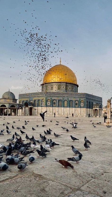 The Dome Of The Rock, Dome Of The Rock, The Rock, The World