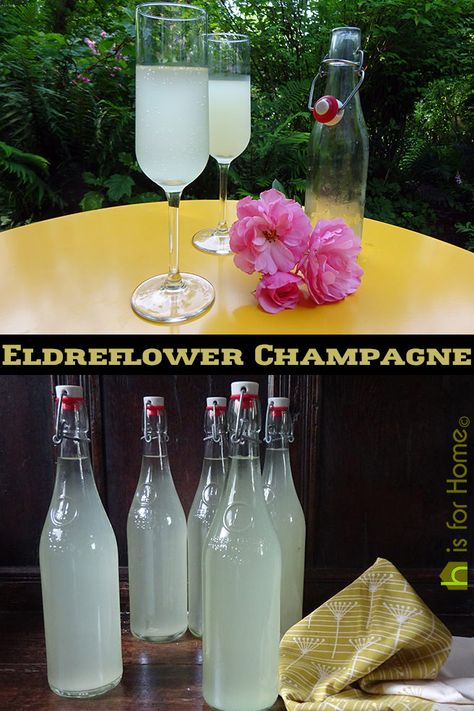 Home-made elderflower champagne | H is for Home  #elderflower #recipe #alcohol #homebrew #elderflowerchampagne #elderflowers #forage #foraging #sparkling wine #wildflowers #wine Wine For Beginners, Elderflower Wine, Elderflower Champagne, Champagne Recipe, Wedding Plan, Sparkling Wine, To The End, Yum Yum, Home Made