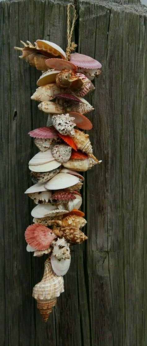 Hand-crafted seashell garland.  All natural seashells are hand-tied to a  heavy duty cord.  This can be hung, draped or placed on a tabletop.  Very easy to coordinate with beach decor themes.   Approximate size is 25 inches long.  Weighs about 6 pounds. You will not receive the exact  garland shown in the pictures but one of equal or greater quality.  We do not sort for custom sizes or colors. Seashells are a product of nature and no two are alike.  There may be slight blemishes or differences i Rocks And Shells Craft, Seashell Crafts For Toddlers, What To Make With Shells, Bathroom Macrame, Wedding Aisle Markers, Beach Wedding Aisle, Shell People, Driftwood Shell Mobile, Shell Crafts Wreaths & Garlands