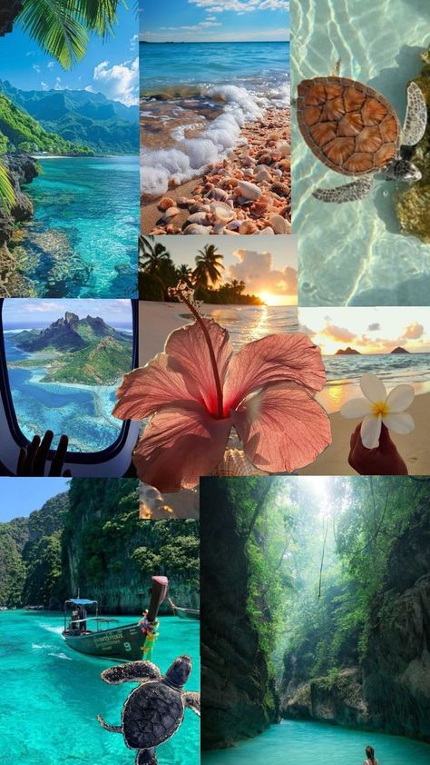 Tahiti Aesthetic, Plage Aesthetic, Tahiti Island, Cute Backrounds, Beautiful Beaches Paradise, Life In Paradise, Beach Wall Collage, Pink Wallpaper Girly, Cute Summer Wallpapers