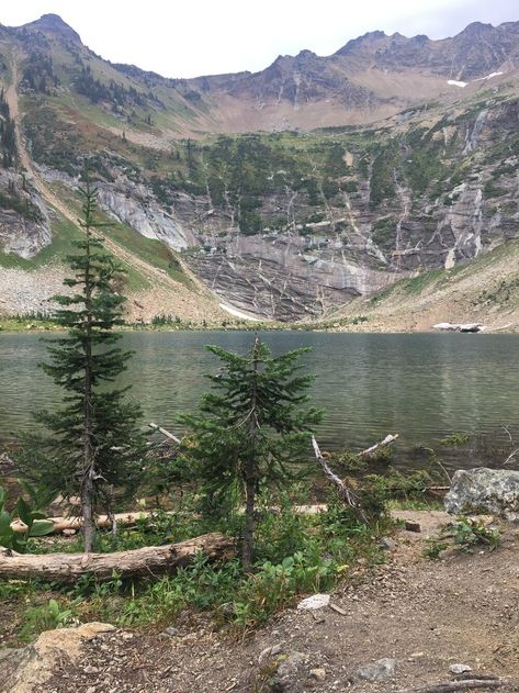 Cedar Forest, Okanagan Valley, Wild Forest, Days Like This, Amazing Travel Destinations, Canadian Rockies, British Columbia Canada, Palawan, Beautiful Lakes