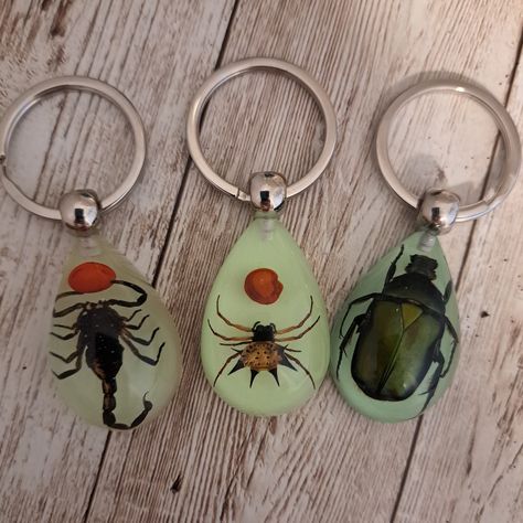 REAL Bug Keychains - Scorpions, Beetles, Spiders - Key Ring for keys or backpacks Encased in resin and epoxy coating.  These have a green tinting and will also GLOW IN THE DARK! Actual insect will vary since no bug is alike. FREE SHIPPING for multiple items in my shop. Bug Keychain, Milo Core, Swaggy Fits, Wet Specimen, Lifestyle Goals, Villa Park, Buy List, Epoxy Coating, Diy Keychain