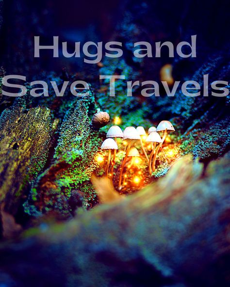 Happy Journey Wishes Travel, Travel Safely Wishes, Happy Journey Wishes Travel Flight Love, Safe Travels, Safe Travels Wishing You, Safe Travels Quote, Kindness Lessons, Have A Safe Trip, Happy Monday Quotes