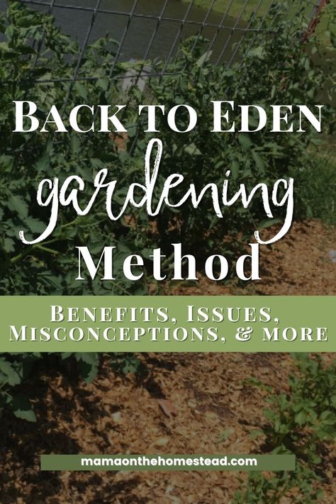 Garden Of Eden Diet, Back To Eden Garden Layout, Back To Eden Gardening, Wood Chip Mulch, Back To Eden, Composting Methods, Eden Garden, Weed Barrier, Homestead Gardens