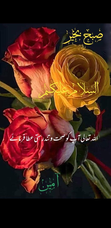 Suba Bakhair, Good Morning Prayer Quotes, Subah Bakhair, Good Day Messages, Good Morning Flowers Rose, Happy Birthday Cake Images, Assalamualaikum Image, Good Morning Nature, Good Morning Flowers Quotes