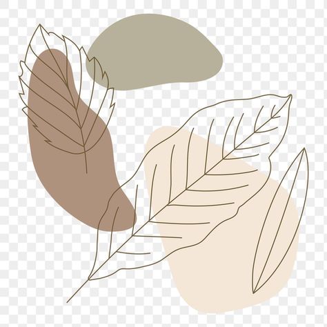 Lines Aesthetic, Leaf Aesthetic, Line Aesthetic, Leaf Line Art, Leaves Doodle, Leaves Abstract, Leaf Abstract, Abstract Aesthetic, Aesthetic Png