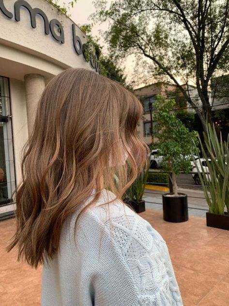 Brown Shoulder Length Hair, Shaggy Layers, Light Brunette Hair, Warm Brown Hair, New Hair Trends, Honey Brown Hair, Brown Hair Looks, Brown Hair Inspo, Hair Color Light Brown