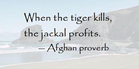 Afghan Proverbs, The Jackal, Spoken Word, The Tiger, Rumi, Famous Quotes, Cute Quotes, Proverbs, Home Decor Decals