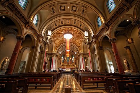 St. James Cathedral, Seattle, WA St James Cathedral Seattle, Manila Cathedral Church, Thomas Heatherwick Seed Cathedral, Seattle Usa, Art Examples, St Vitus Cathedral, St. Paul’s Cathedral, Saint James, The Cathedral