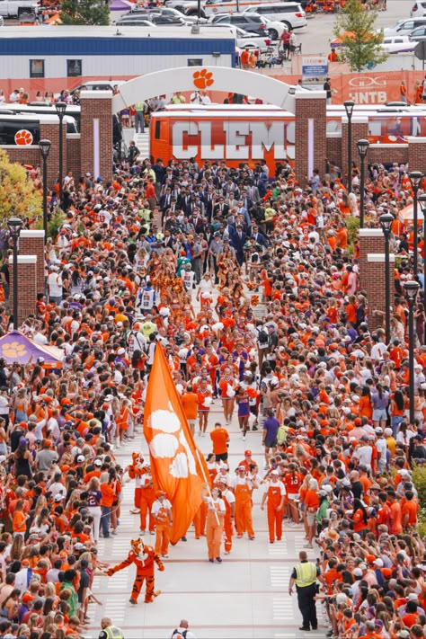 Clemson football arrives for Tiger Walk! Clemson Volleyball, Clemson University Aesthetic, Clemson Aesthetic, College Manifestations, Clemson College, College Vision Board, Clemson Football, Clemson University, Dream School