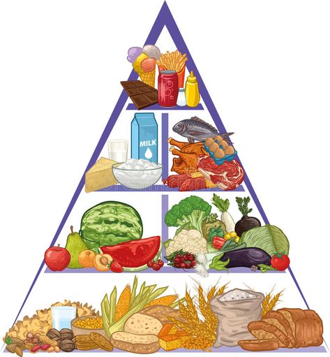 Food Pyramid Kids, Food Infographic, Food Clipart, Food Pyramid, Healthy Food List, Nutrition Guide, Kids Diet, Food Drawing, Earth Friendly