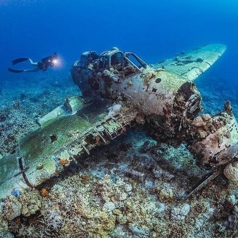 Underwater Shipwreck, Underwater Drawing, Underwater Ruins, Wwii Fighter Planes, Sunken City, Fauna Marina, Underwater Photos, Underwater Photography, Beautiful Places To Travel