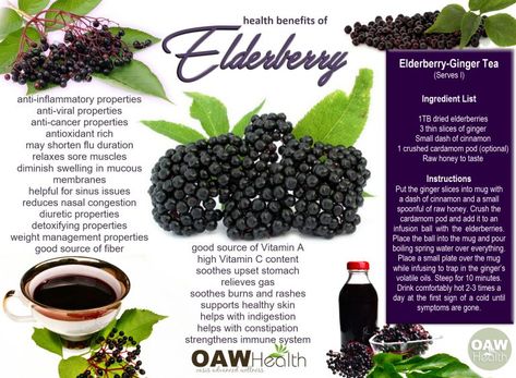 Incredible Health Benefits of Elderberry - OAWHealth Elderberries Benefits, Benefits Of Elderberry, Elderberry Benefits, Rosemary Gladstar, Tomato Nutrition, Calendula Benefits, Fruit Health Benefits, Turmeric Health Benefits, Lemon Benefits