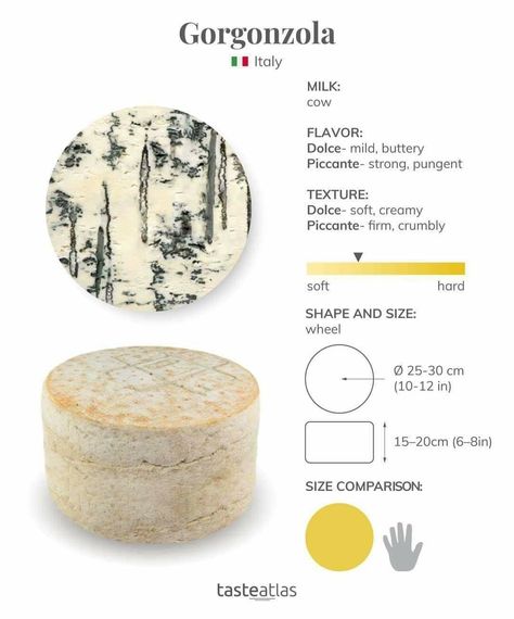 Taste Atlas, Chef Knowledge, Cheese Recipes Homemade, Culinary Lessons, Cheese Trays, Gorgonzola Cheese, Food Infographic, Traditional Dishes, Charcuterie Cheese