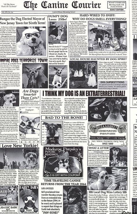 Dogs & Cats - Newspaper Articles About Dogs - White Dogs White, Pet Logo, Dog Smells, About Dogs, Pet Logo Design, Newspaper Article, Free Quilt Patterns, White Quilt, Silly Cats