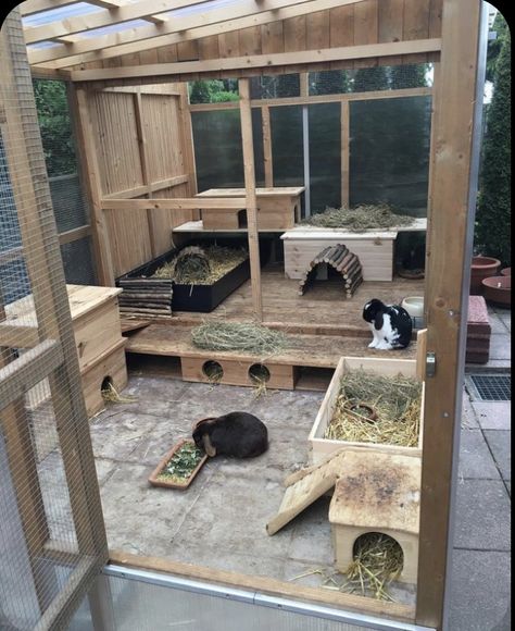 Bunny Apartment, Bunny Sheds, Rabbit Cages Outdoor, Rabbit Shed, Diy Rabbit Hutch, Rabbit Pen, Outdoor Rabbit Hutch, Outdoor Rabbit, Rabbit Enclosure