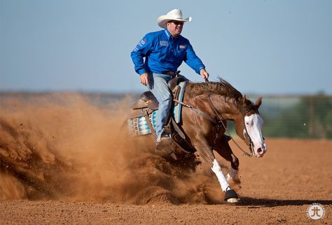 Reining Horses Photography, Horse Disciplines, Working Cow Horse, Weatherford Texas, Horse Reining, Cow Horse, Reining Horses, Cute Horse Pictures, Horse Inspiration